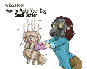Famous Deodorizer