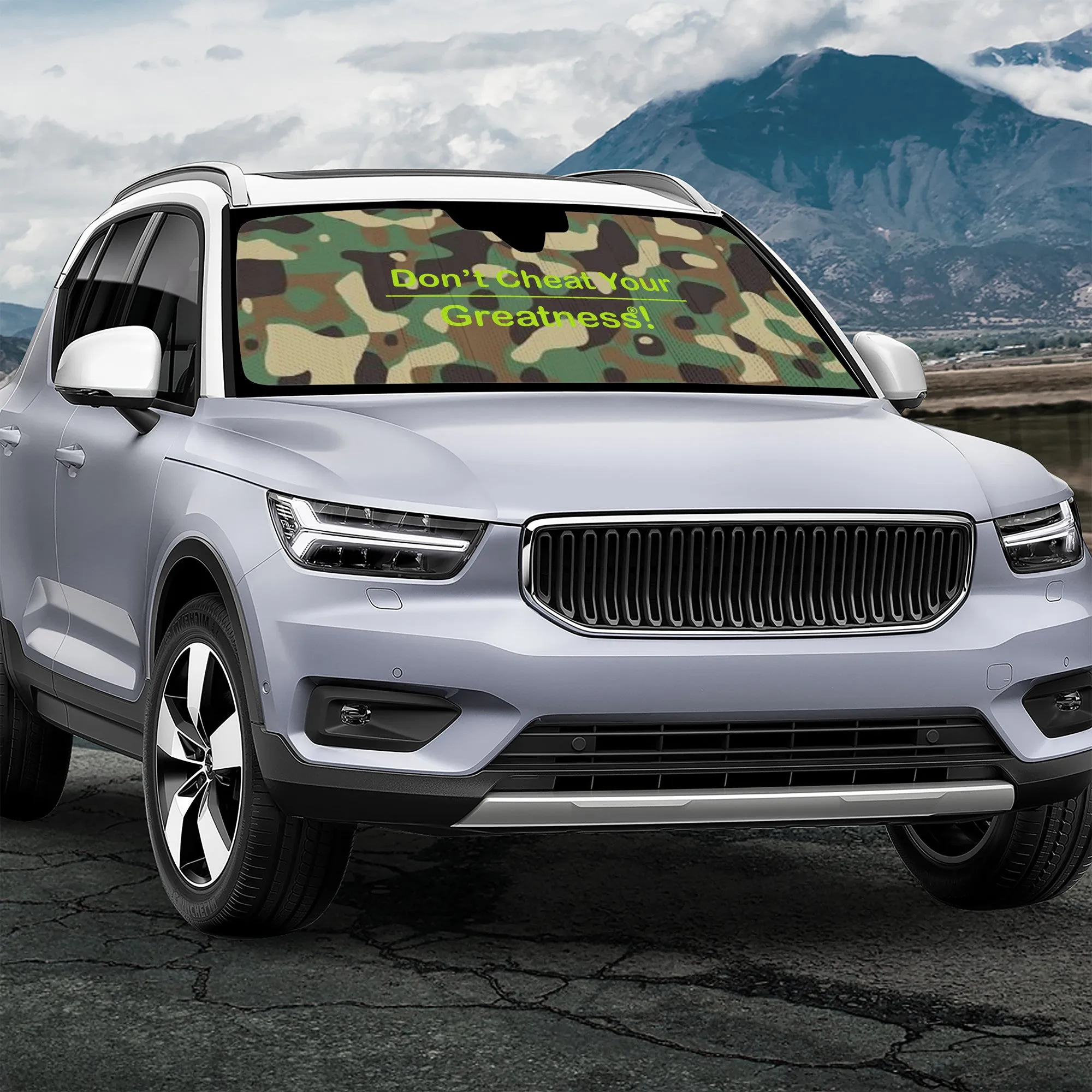 Veteran's Auto Sun Shades